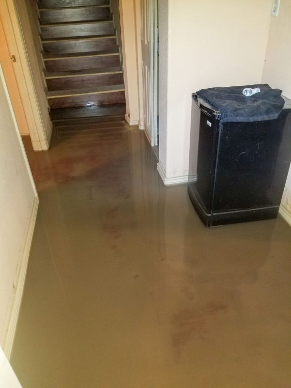 Flooded Basement Cleanup