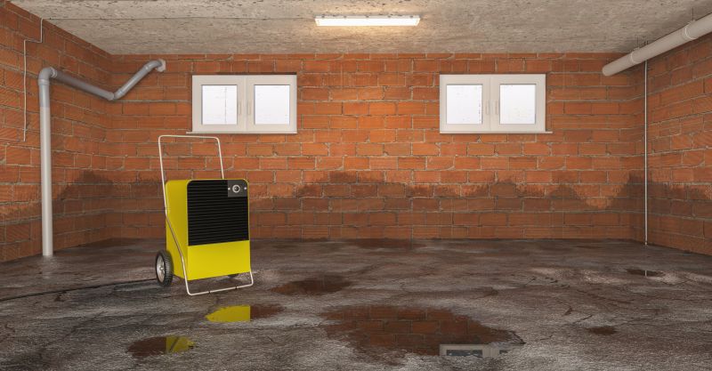 Basement Water Removal in Wilmington, NC