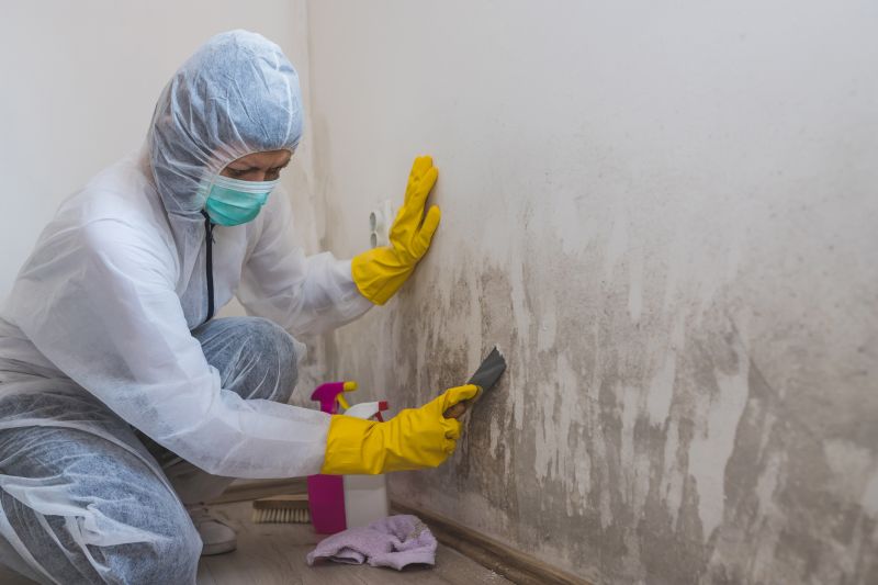Mold Prevention Treatment