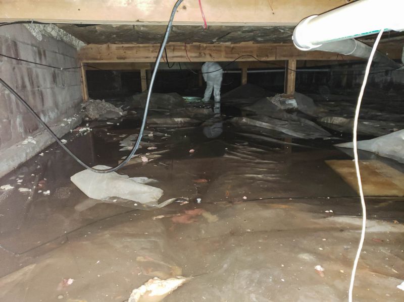 Flooded Basement Water Extraction
