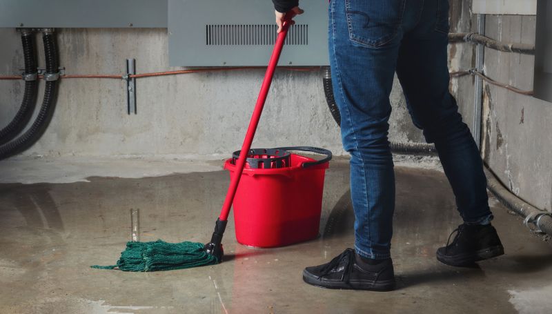 Products For Flooded Basement Cleanups in use